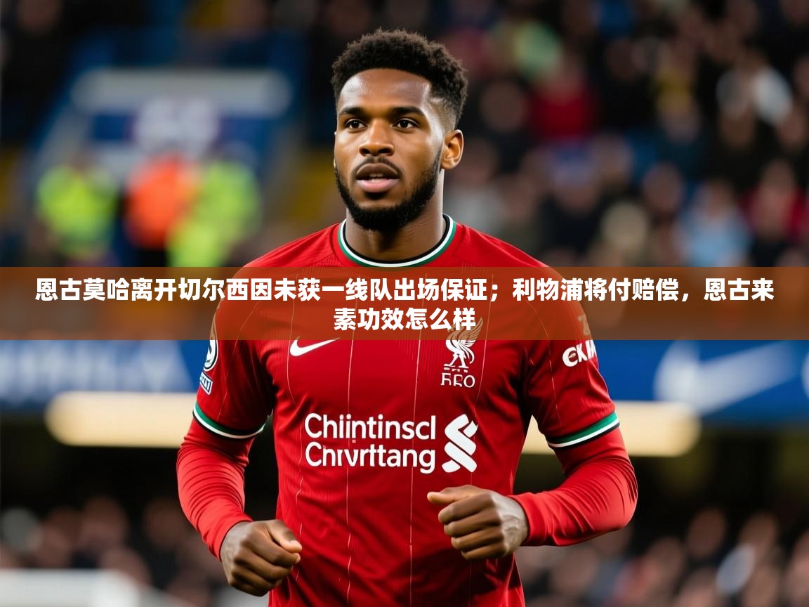 2025爱游戏体育在线登录地址恩古莫哈离开切尔西因未获一线队出场保证；利物浦将付赔偿，恩古来素功效怎么样  第1张