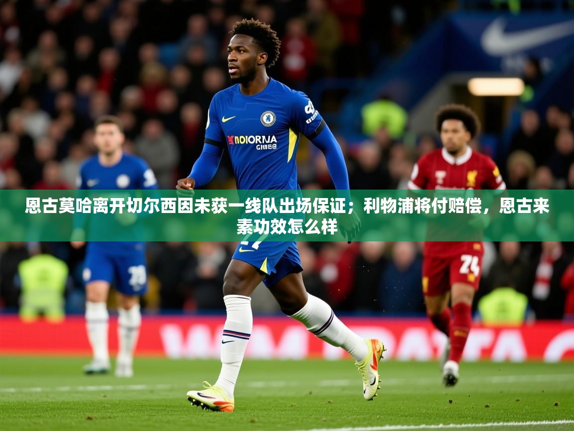 2025爱游戏体育在线登录地址恩古莫哈离开切尔西因未获一线队出场保证；利物浦将付赔偿，恩古来素功效怎么样  第3张