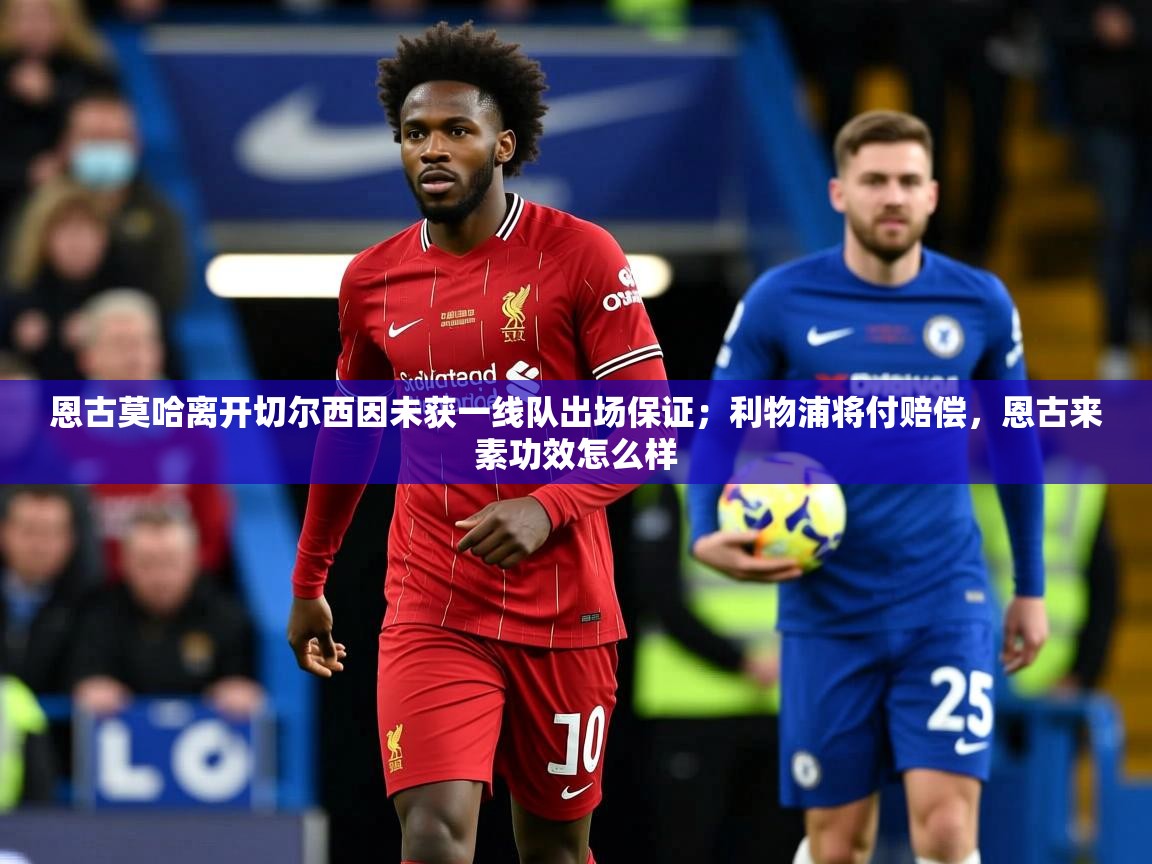 2025爱游戏体育在线登录地址恩古莫哈离开切尔西因未获一线队出场保证；利物浦将付赔偿，恩古来素功效怎么样  第2张