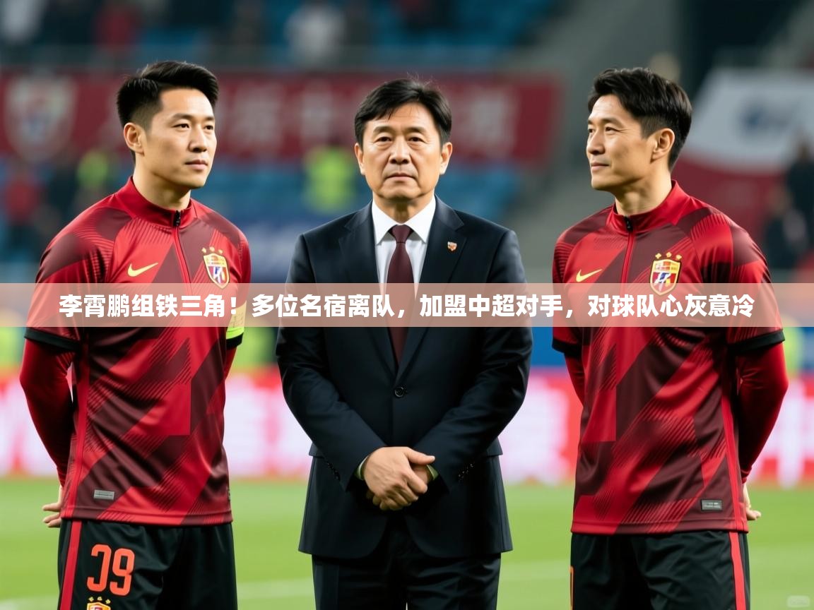 2025爱游戏体育官网网页登录网页版李霄鹏组铁三角！多位名宿离队，加盟中超对手，对球队心灰意冷  第2张