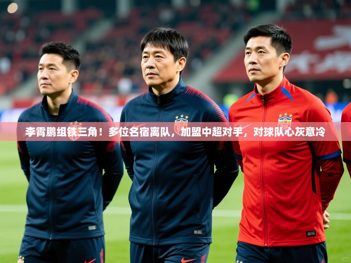 2025爱游戏体育官网网页登录网页版李霄鹏组铁三角！多位名宿离队，加盟中超对手，对球队心灰意冷  第4张